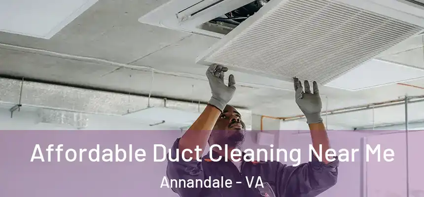 Affordable Duct Cleaning Near Me Annandale - VA