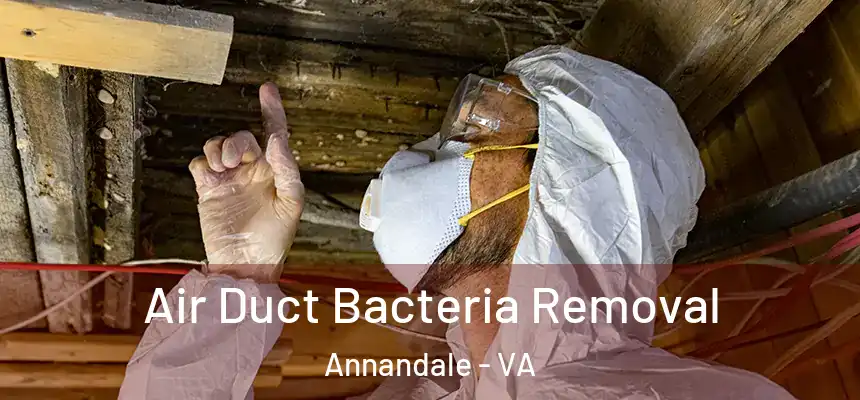 Air Duct Bacteria Removal Annandale - VA