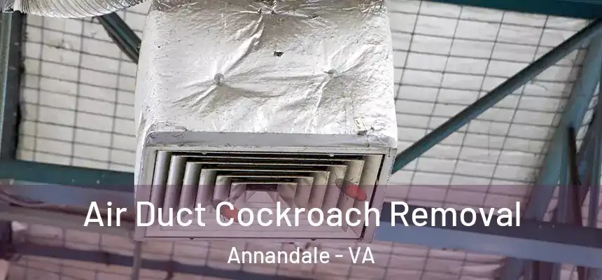  Air Duct Cockroach Removal Annandale - VA