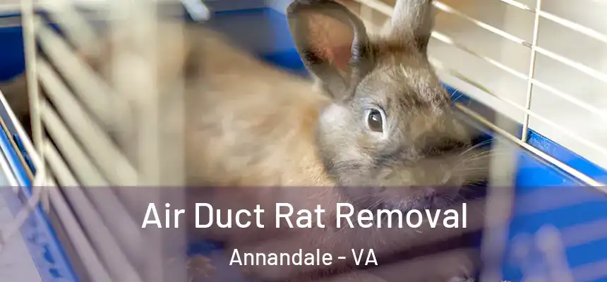 Air Duct Rat Removal Annandale - VA