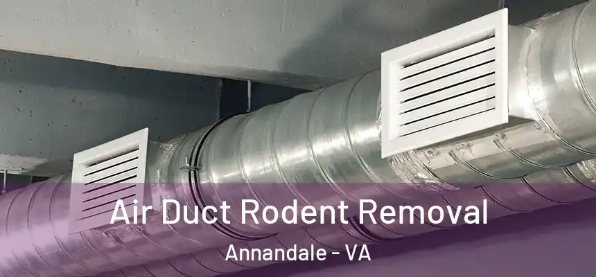  Air Duct Rodent Removal Annandale - VA