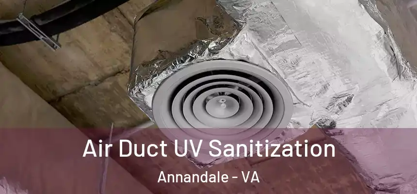  Air Duct UV Sanitization Annandale - VA