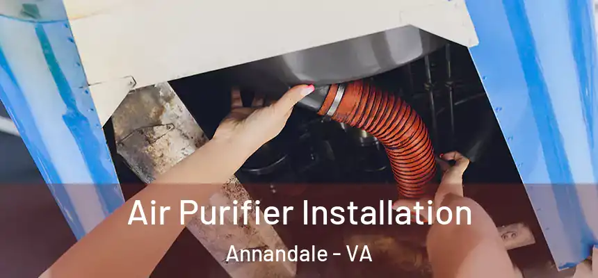  Air Purifier Installation Annandale - VA