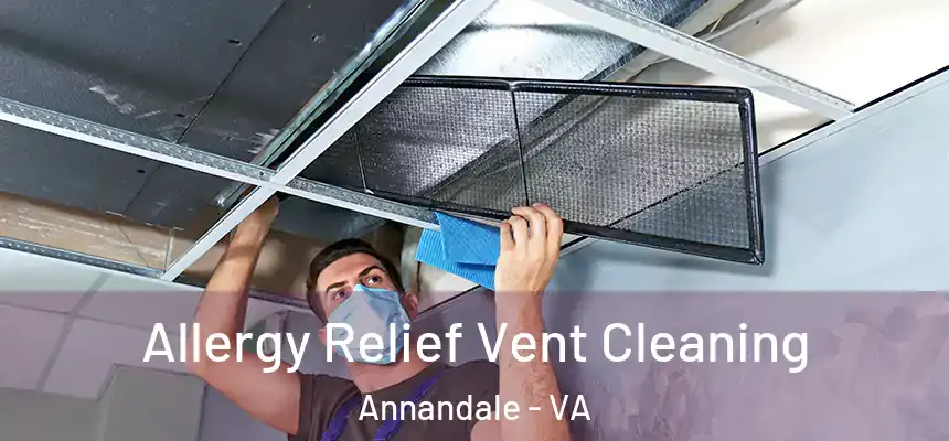  Allergy Relief Vent Cleaning Annandale - VA