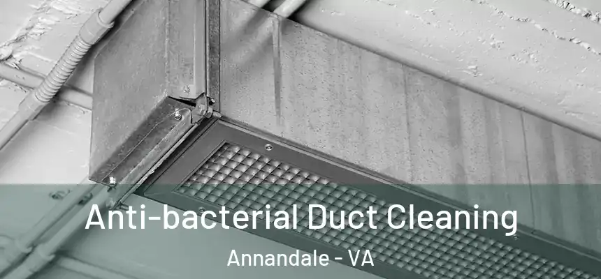  Anti-bacterial Duct Cleaning Annandale - VA