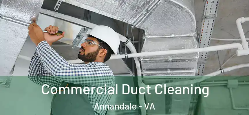  Commercial Duct Cleaning Annandale - VA