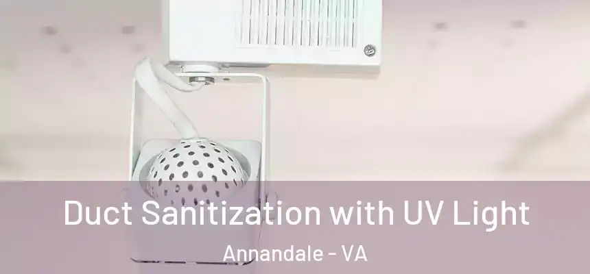  Duct Sanitization with UV Light Annandale - VA