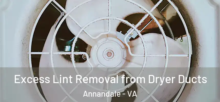 Excess Lint Removal from Dryer Ducts Annandale - VA