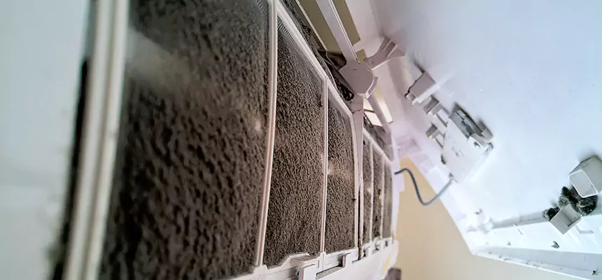 Preventive Air Duct Bacteria Removal in Annandale