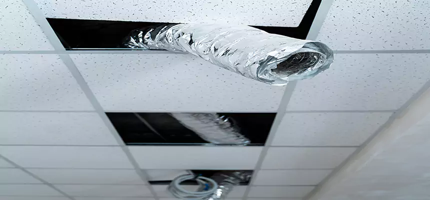 Our Air Duct Pet Hair Removal Services in Annandale, VA