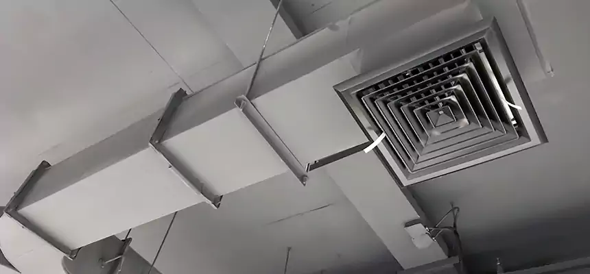 Restorative Allergy Relief Vent Cleaning – Coil, Blower & Housing Detail in Annandale