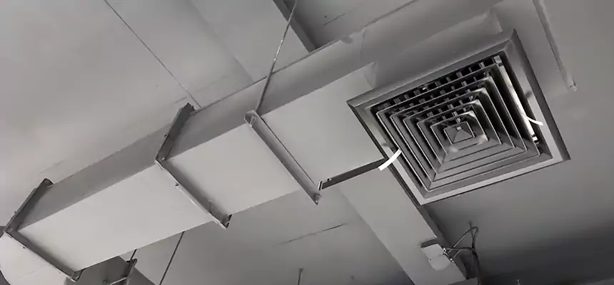 Our Pest Removal From Ducts Services in Annandale, VA