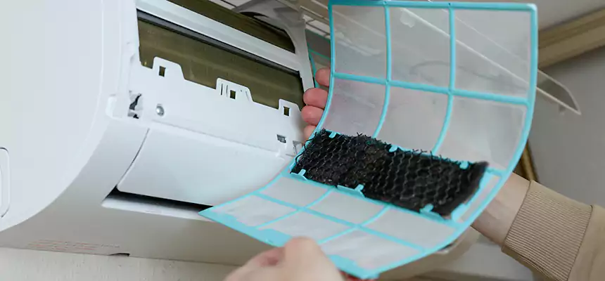 Gentle Ductwork Odor-Control Pet Dander Duct Cleaning in Annandale, VA