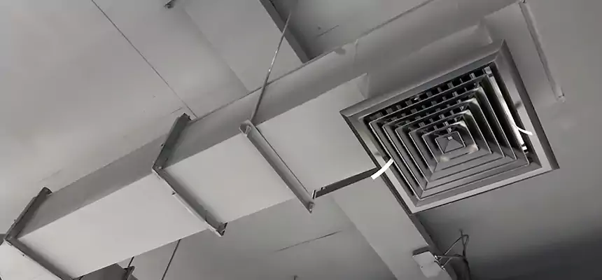 Our Rodent Droppings In Vents Services in Annandale, VA