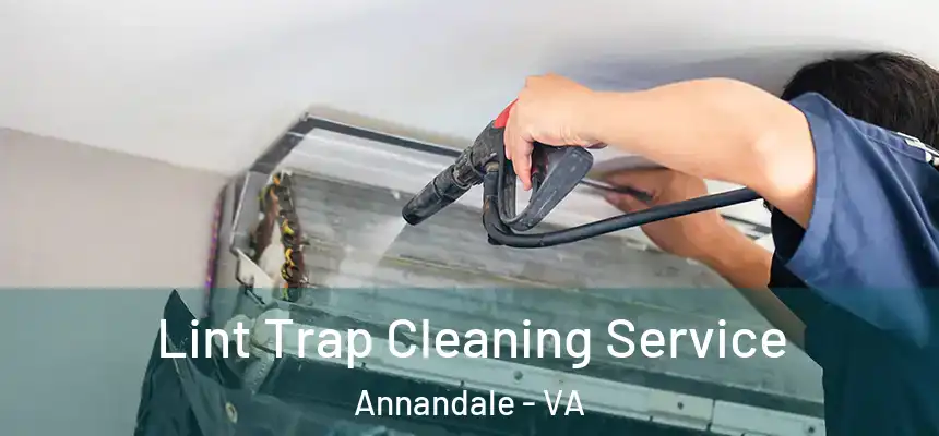  Lint Trap Cleaning Service Annandale - VA