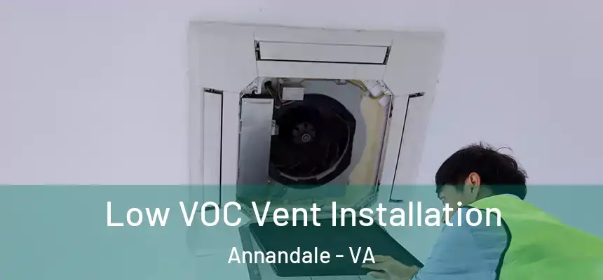  Low VOC Vent Installation Annandale - VA