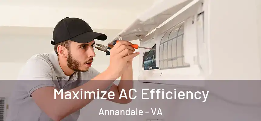 Maximize AC Efficiency Annandale - VA
