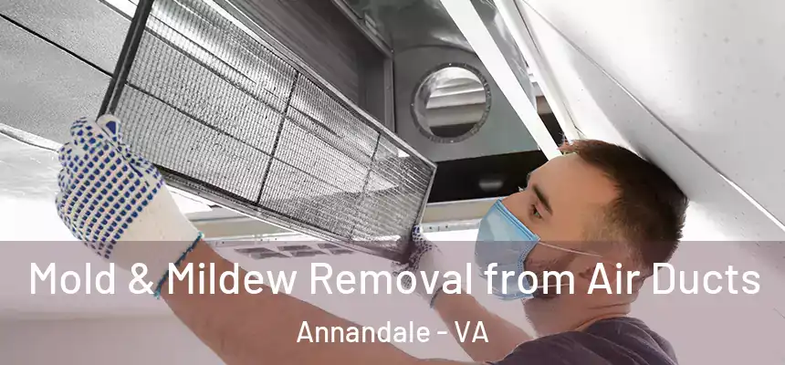  Mold & Mildew Removal from Air Ducts Annandale - VA