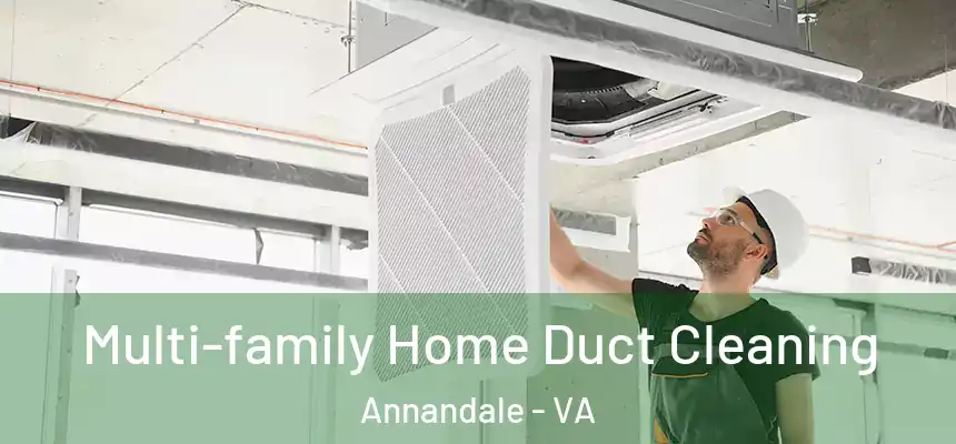 Multi-family Home Duct Cleaning Annandale - VA