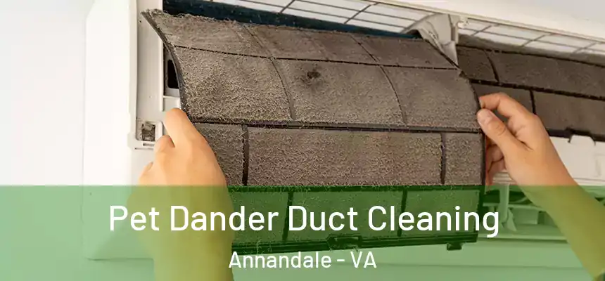  Pet Dander Duct Cleaning Annandale - VA