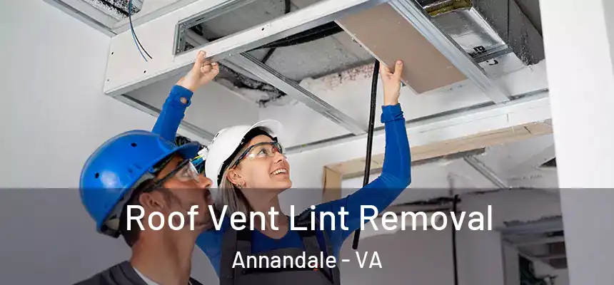 Roof Vent Lint Removal Annandale - VA