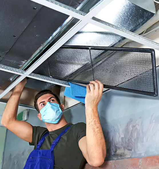About Air Duct Bacteria Removal in Annandale