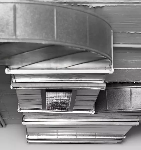 Professional Air Duct Pet Hair Removal in Annandale, VA