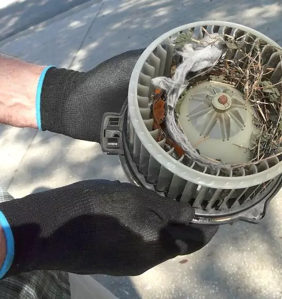 About Air Duct Rat Removal in Annandale, VA