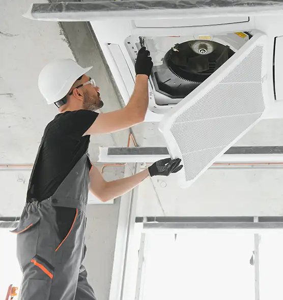 About Air Duct Rodent Removal in Annandale, VA