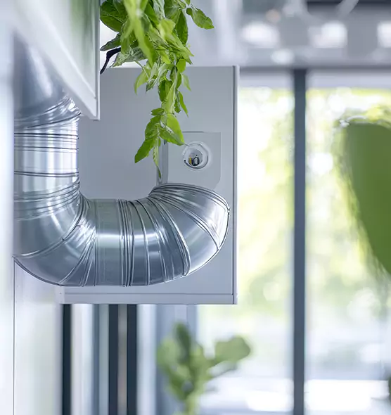 Professional Eco-Friendly Duct Cleaning Services in Annandale, VA