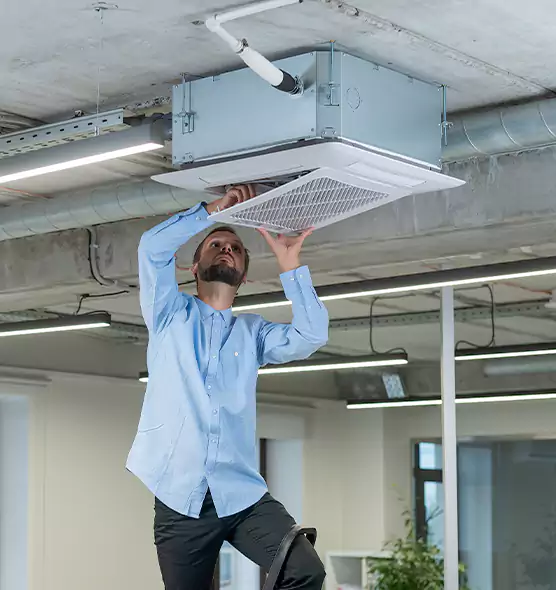 Advanced Rodent Droppings In Vents in Annandale, VA