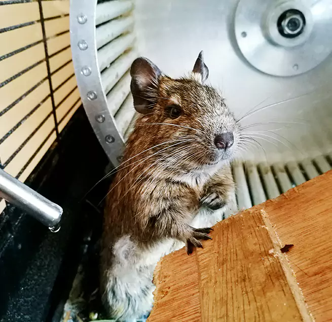 Why Homeowners & Businesses Trust Us Annandale, VA?