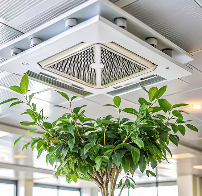 Why Homeowners & Businesses Trust Us in Annandale, VA?