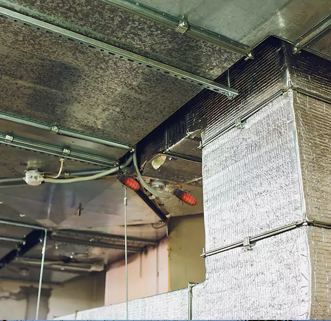 Why Homeowners & Businesses Trust Us Annandale, VA?