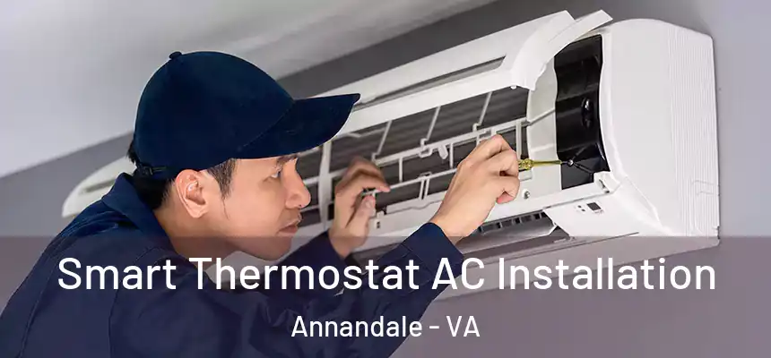  Smart Thermostat AC Installation Annandale - VA